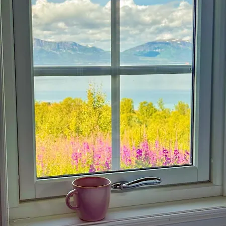 Βίλα Adventure Lyngen
